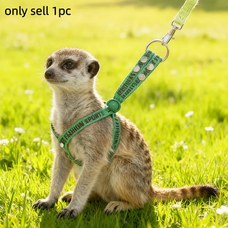 Ferret Leash Adjustable Small Pet Leash for Meerkat Chinchilla Squirrel Raccoon Anti-Lost Walking Lead with Reflective Strip