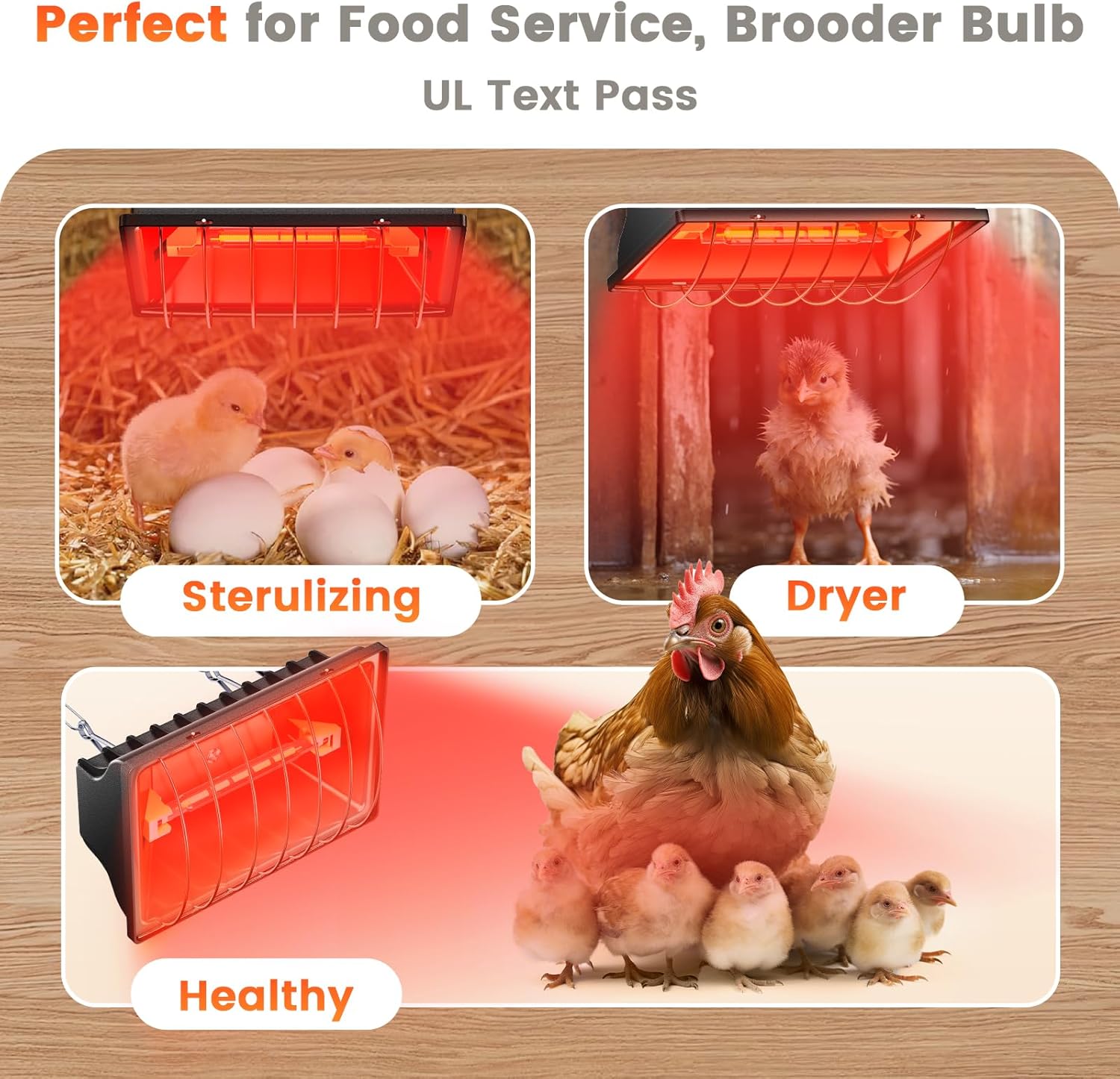 300W Chicken Coop Heater for 30 Chicks Or Ducks, 9.84ft Cord Brooder Heating Plate & Heat Lamp Chicken Coop House with Adjustable Temp & Hanging Height for Livestock Pet Supplies Outdoor