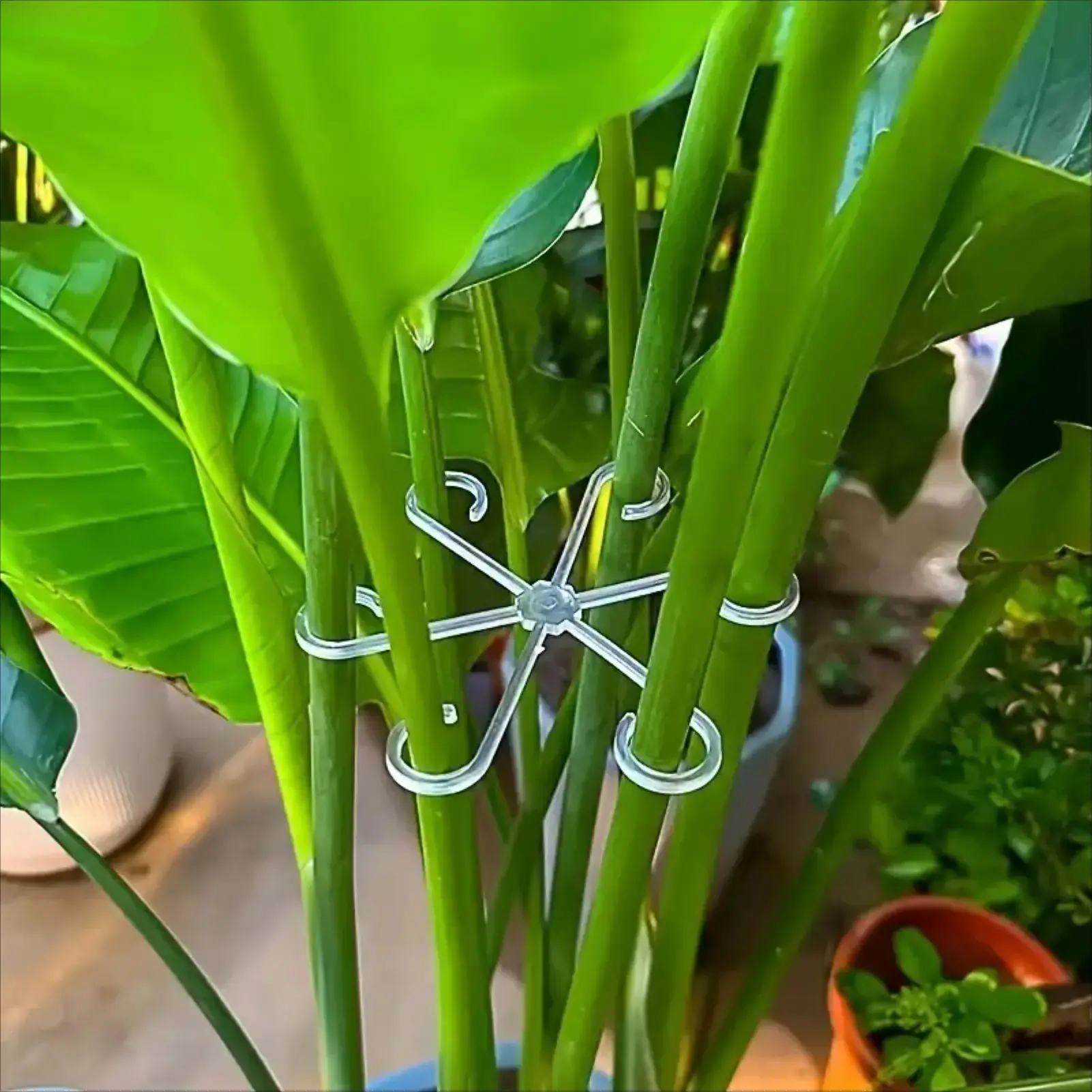 8pcs Green Plant Stem Support Clips, Garden Plant Supplies, with Adjustable Arms & Sturdy Hooks - Heavy Duty Climbing Frame for Indoor/Outdoor Monstera, Hydroponic Plants, Flower Pots - Easy Install Garden Stakes Garden Trellis