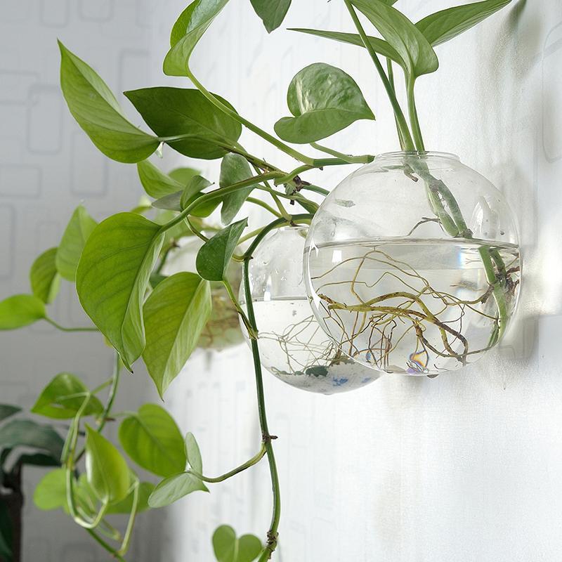 Wall Mounted Glass Planter without Plants, Round Glass Vase for Wall Decor,  Wall Ornaments, Home Office Decoration Supplies, Hanging Planters - TikTok  Shop