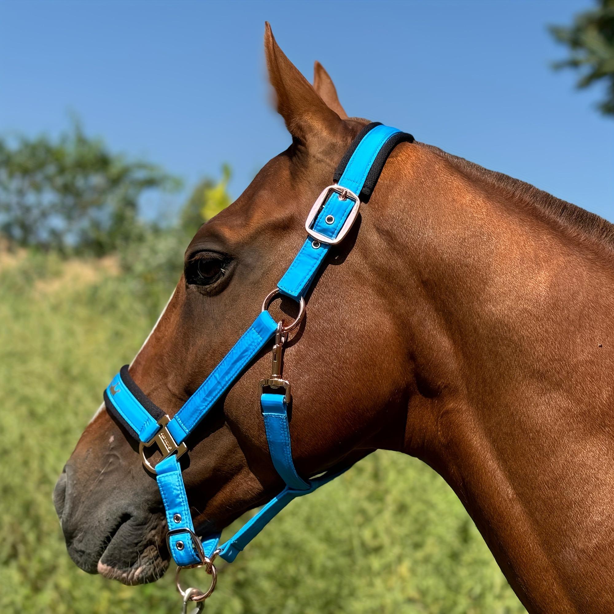 Horse Halter, Adjustable Horse Head Collar with Soft Pading, Glossy Horse Halter, Equestrian Supplies for Horse Riding