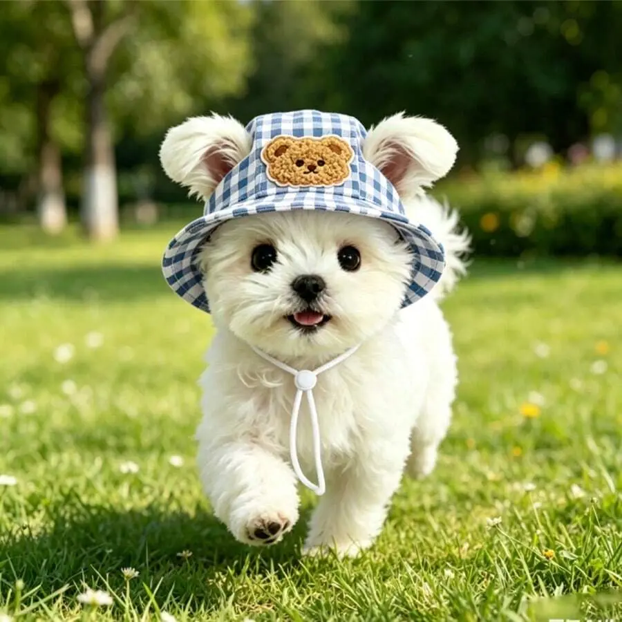 BVEOYPET Cute Bear Ear Pet Bucket Hat, With Ear Holes Design, Adjustable Chin Strap, Sun Protection, Breathable & Comfortable, Suitable For Dogs & Cats Outdoor Use
