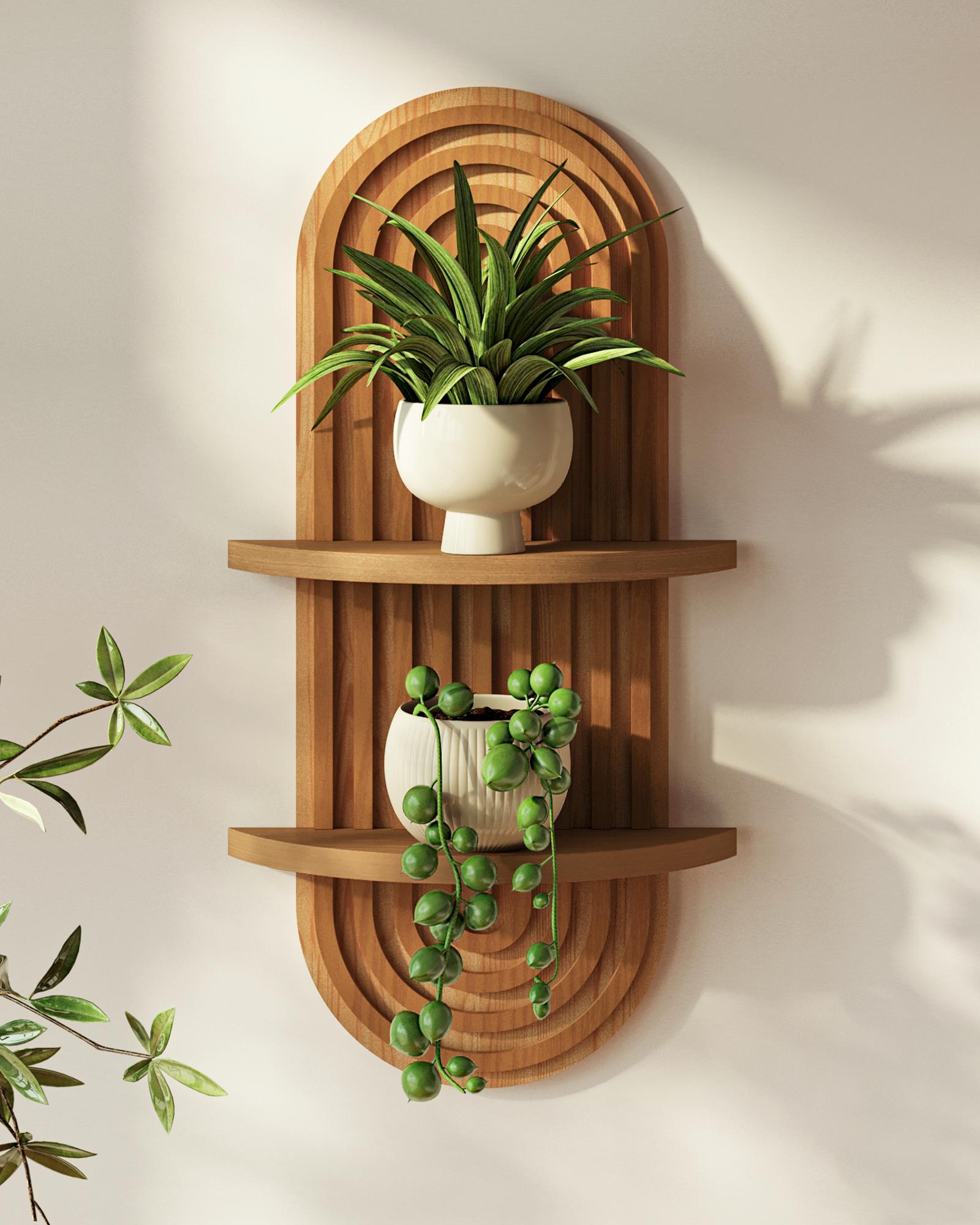 olivenbaum blumentopf Olivenbaum im Whiskyfass Kombi-Angebot – Teeninga Palmen main image 1