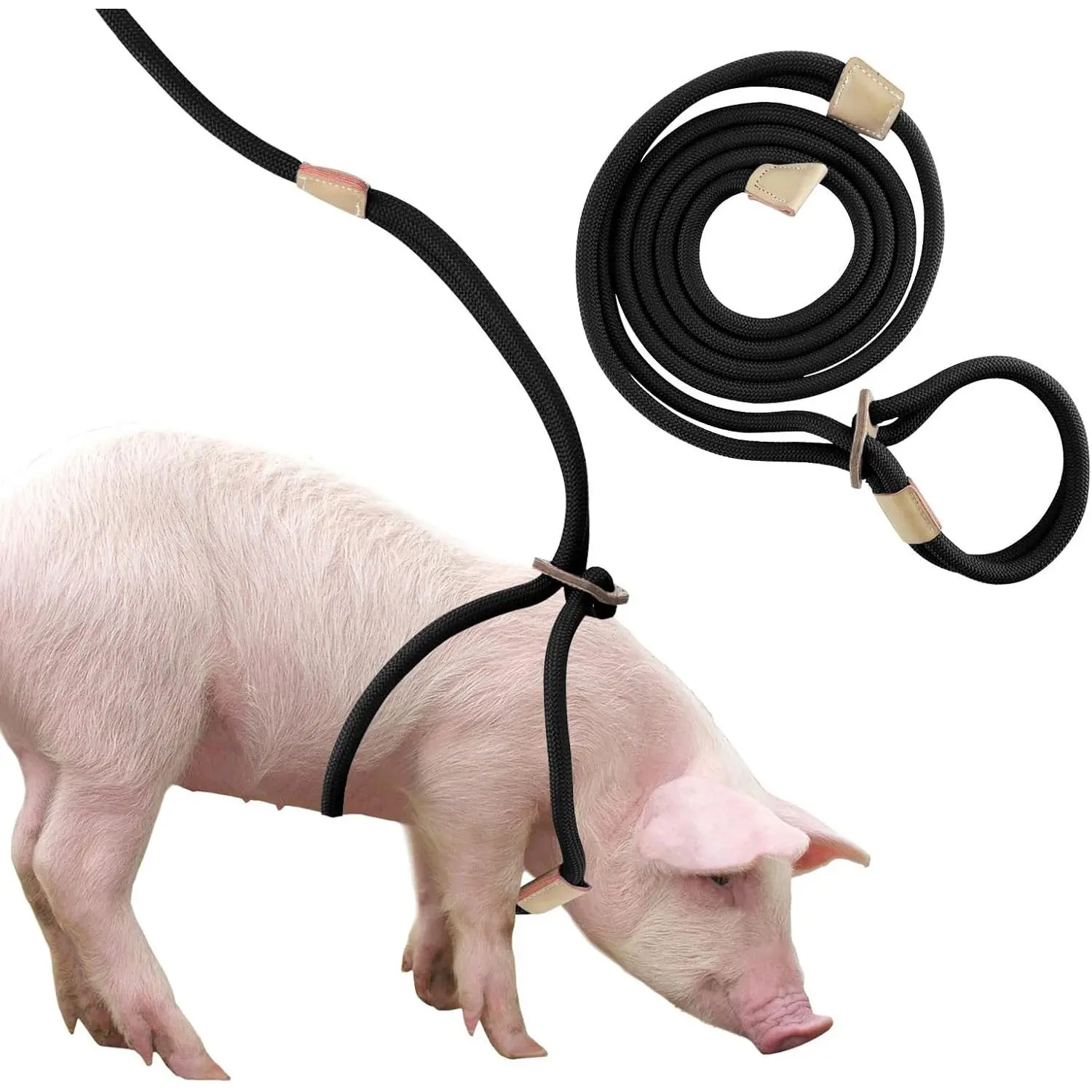Mini Pig Harness & Leash, Adjustable 8 Feet Long Rope for Small to Medium Pet Pigs