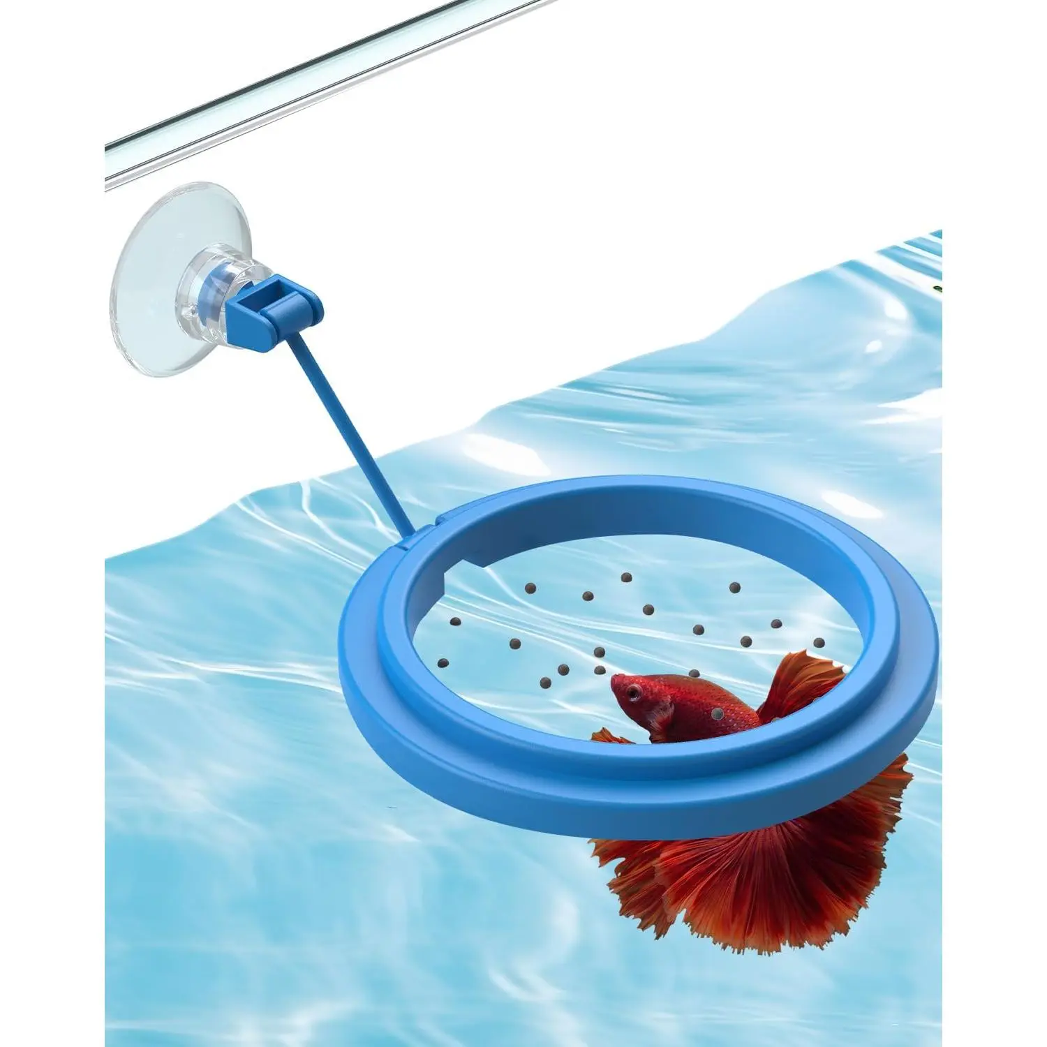 Fish Feeding Ring for Aquarium, Feeding Ring with Suction Cup, Small Round Fish Feeder Ring Circle Floating  Feeder for Betta Goldfish Guppy Turtle