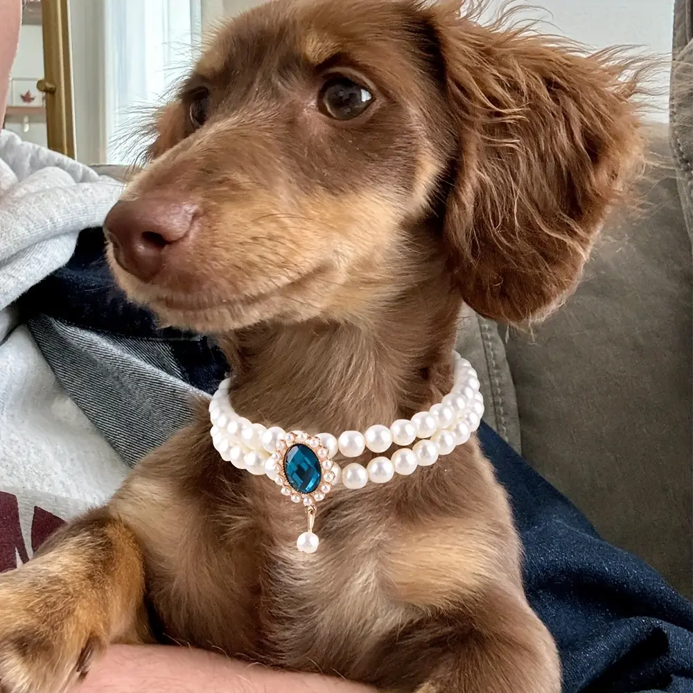 Cat Necklace, Dog Pet Cat Pearl Fashion Choker Accessory, Teddy Princess Bell Collar for Small Dogs and Schnauzers