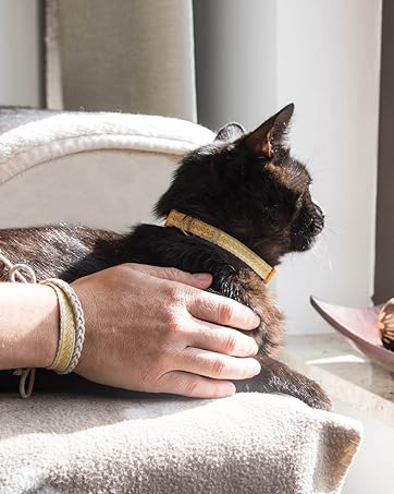 Pettsie Cat Collar with Heart, Safe Breakaway Buckle, Matching Friendship Bracelet, Soft and Comfortable Cotton for Sensitive Skin, Carton Box, Easy Adjustable 8-11 Inches, Green