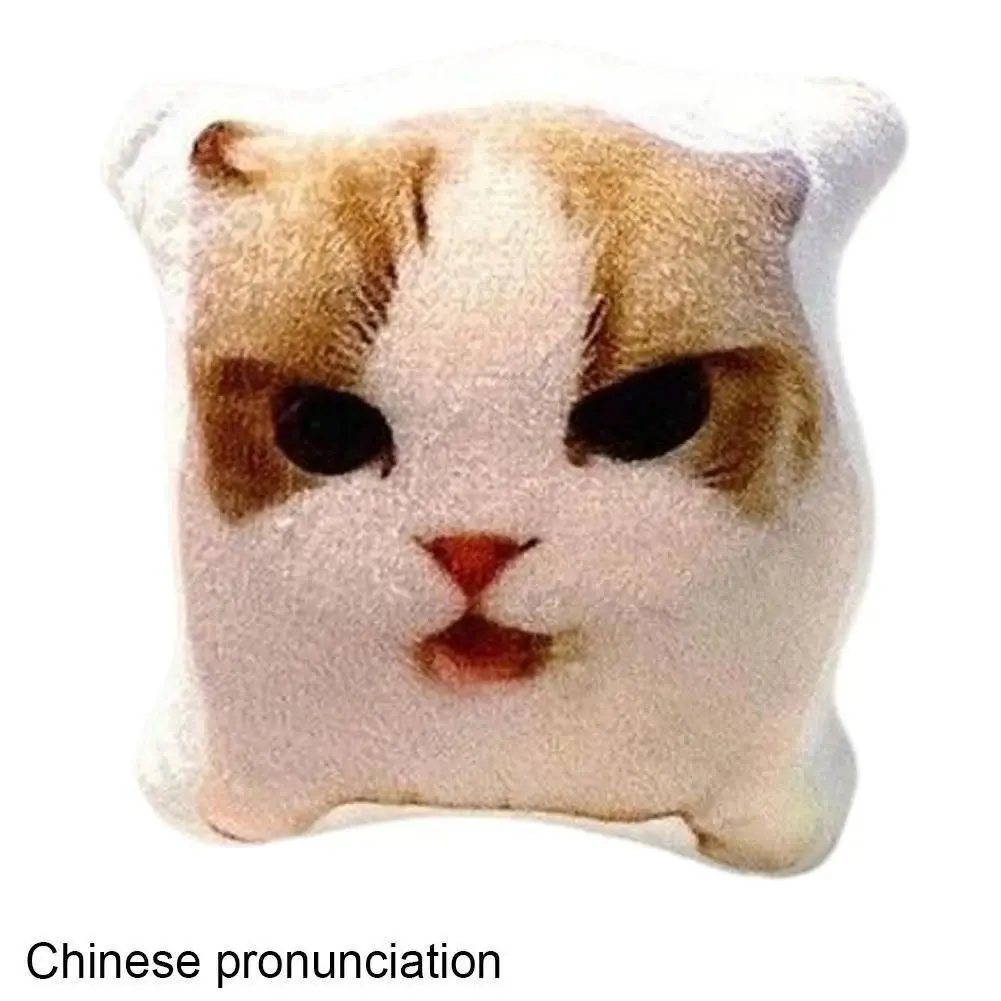 Portable Squeeze Talking Cat For Bag Cat Voice Keychain With Sound Decompression Soft Plush Realistic Meow Sound Kids Toy