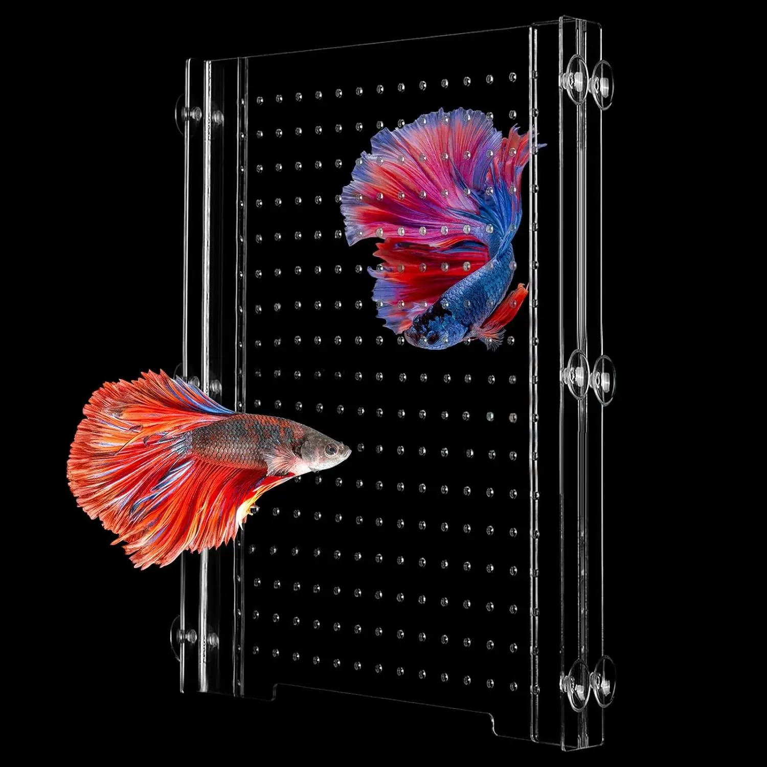 Transparent Acrylic Aquarium Divider Plate with Suction Cups, Tank Accessory