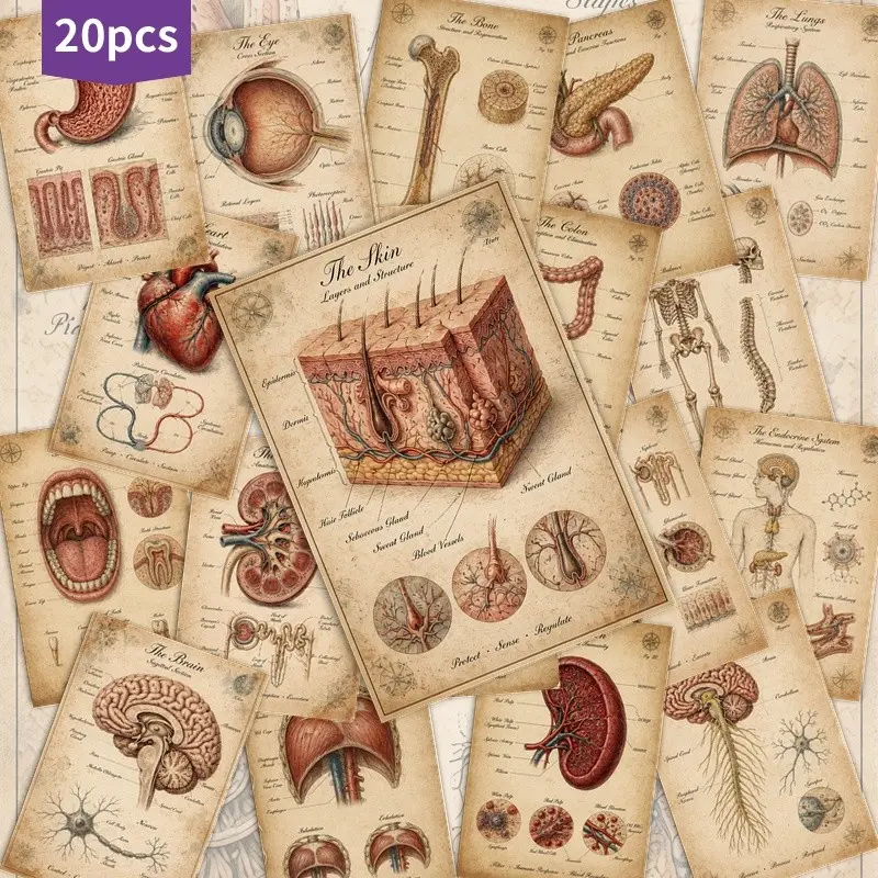 20pcs Christmas Advent Calendar Postcard Vintage Retro Illustration Art Collectible Decorative Card Scrapbooking Junk Journal Crafting Collage DIY Supplies Aesthetic Ephemera Greeting Card Set