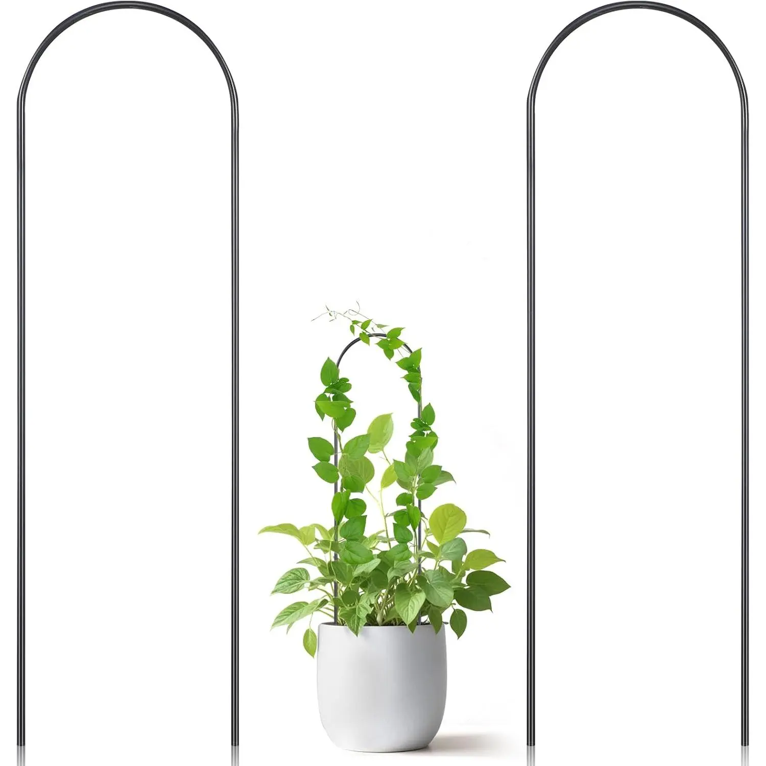 2 Pack Hoya Trellis,  Trellis for Pots,U-Shaped Small Trellis for Potted ,13.4 Inch Metal Indoor  Trellis for Potted  for Vine Ivy Hoya Monstera,Indoor Outdoor Use, Black