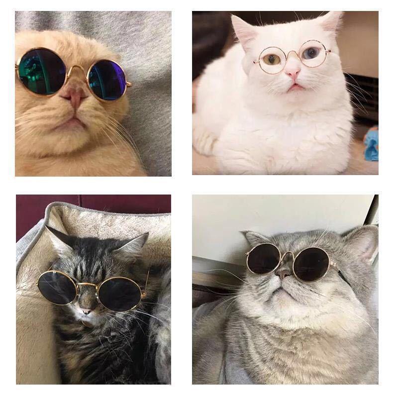 Dog Cat Pet Sunglasses Creative Trendy Sunwear Cute Accessories Mini Eyewear for Small Animals Adjustable Fit Summer Outdoor Play