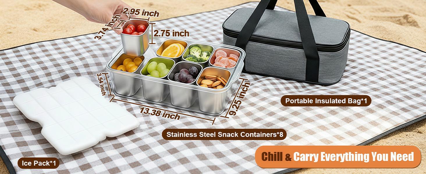 Snackle Box Container with Ice Pack, 304 Stainless Steel Divided Serving Tray, Snacklebox with Insulated Bag, 8 Compartment Platter Box with Lid and Handle for Beach, Road Trip, Boat Days, Pool Party