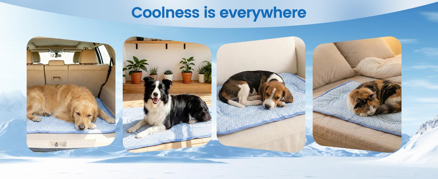 Dog Cooling Mat, Thick Cooling Mat for Extra Large Dogs with PCM & Thermochromic Tech, Dual-Sided Durable Waterproof Cool Dog Bed Mat, Q-Max>0.5, Machine Washable, Non-Toxic - XL(31" x 43")