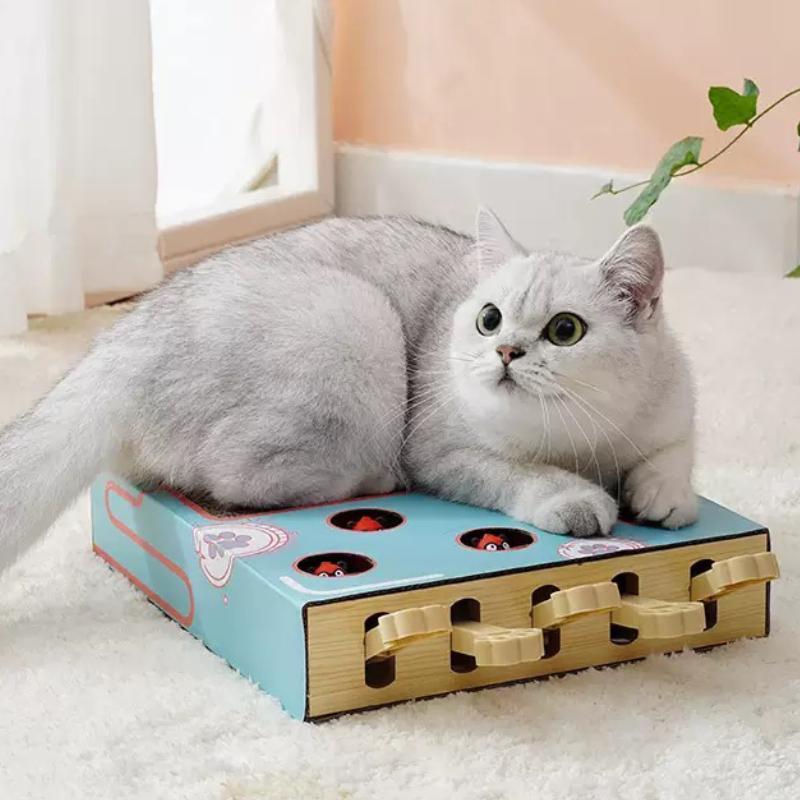 Cat Scratch Board Game, Interactive Corrugated Cardboard Toy, Multi-functional Cat Play & Exercise Accessories, Pet Supplies
