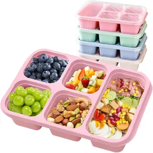 Bento Lunch Box with Reusable, 5 Compartment Bento Box  4 Pack, Bento Snack Containers  Travel and Work