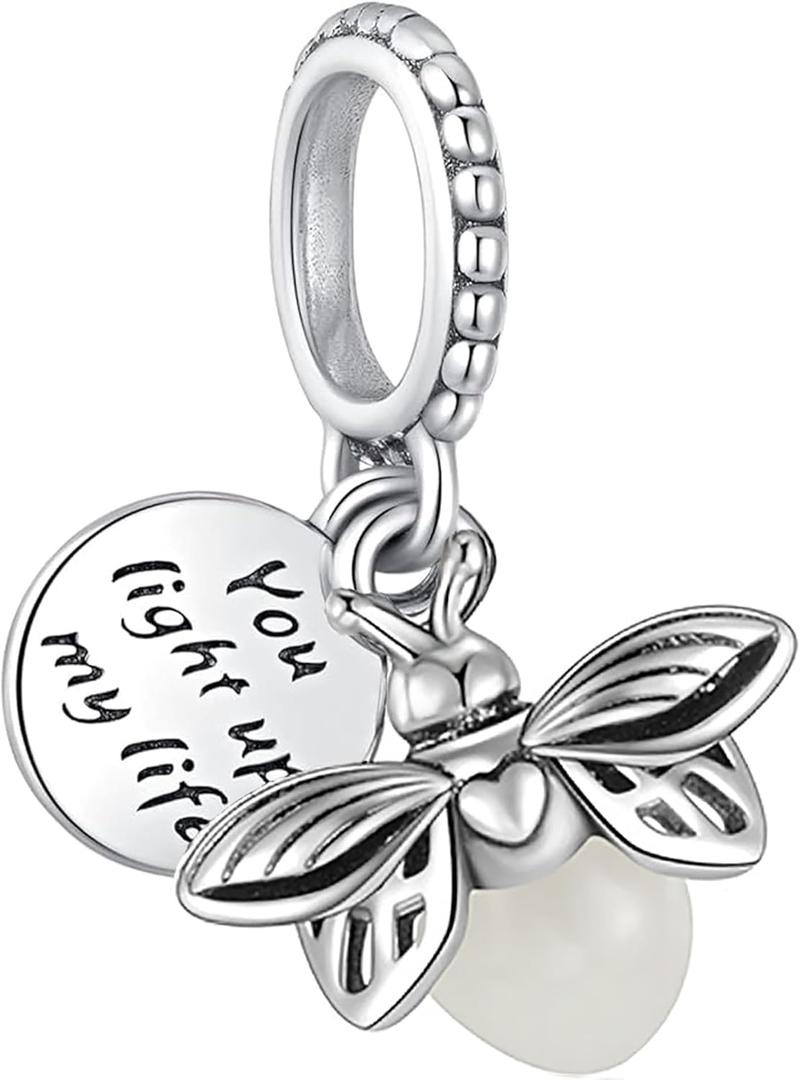 10 Pack Silver Bead Charms for Pandora Bracelets and Necklaces Charm for Woman Cubic Zirconias Dangle Pendant Jewelry Beads Set Style1