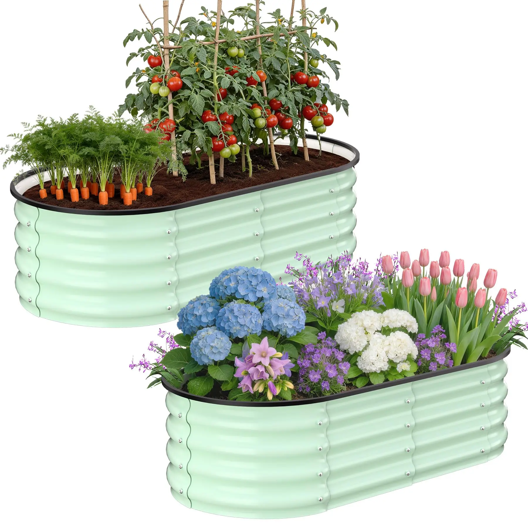 2-Pack Galvanized Raised Garden Bed 5x2x1FT, 2-in-1Oval & Rounded Square Design Metal Planter Box for Vegetables, Flowers & Herbs, Open Bottom & Safety Edge