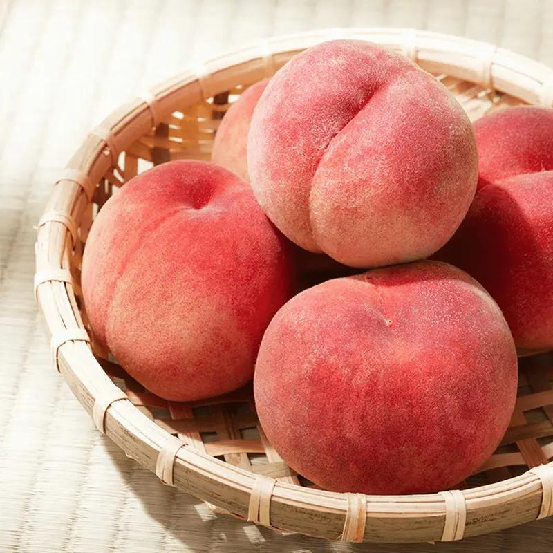 Peach saplings have been cultivated and can be planted immediately. They have strong cold resistance. The tree is one to two years old. The peaches are sweet and delicious. They are suitable for potted planting in gardens, gardens and balconies.