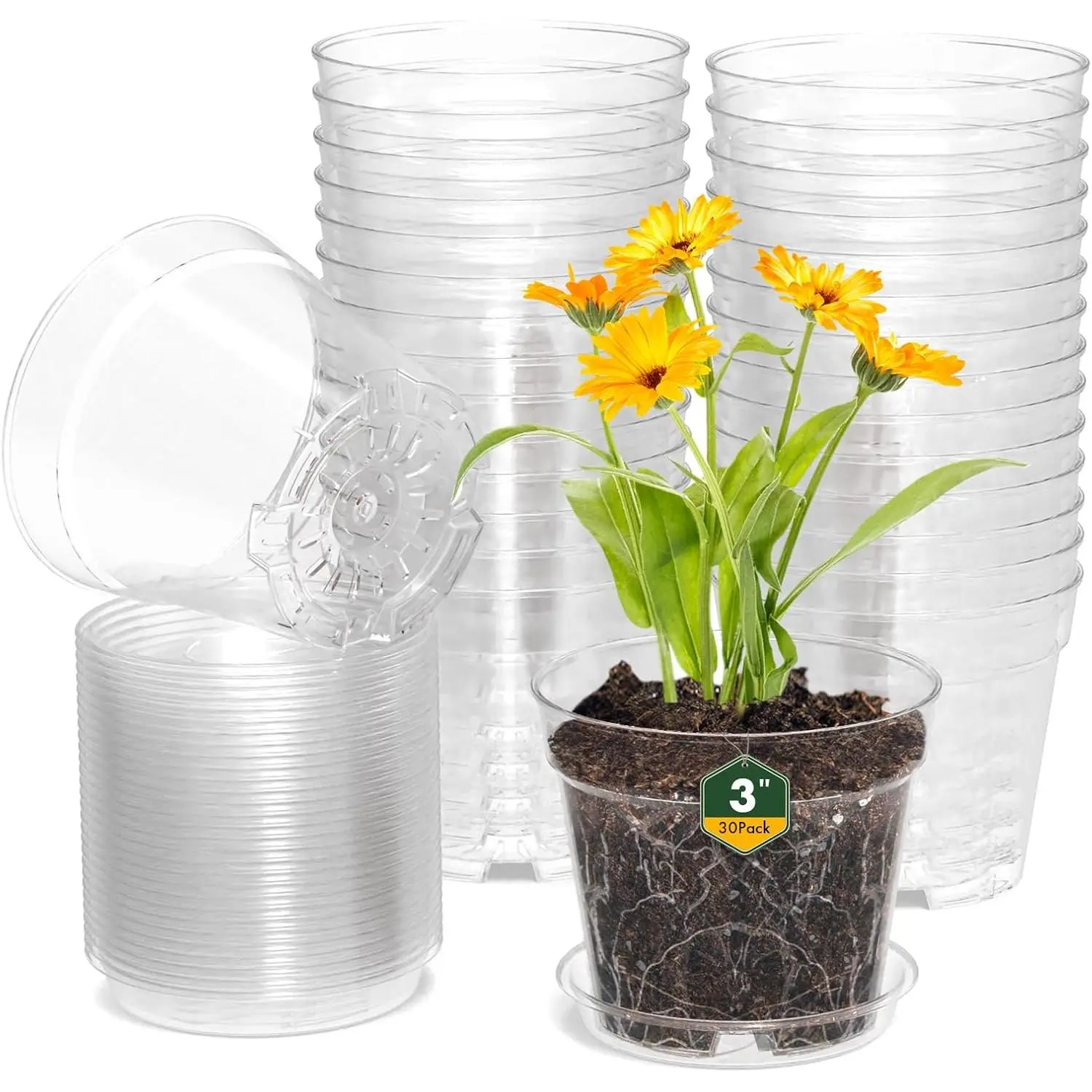 3 Inch Clear Nursery Pots, 30 Pack Highly Transparent Plastic Seedling Starter Planters with Drainage Holes and Trays for Flowers, Small Plant Pots for Indoor Plants