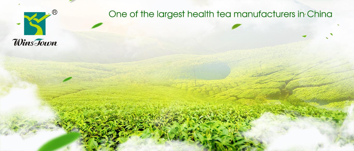 Wins Town Hair Growth Tea for Healthy Follicle Regrowth 30 Tea Bags Haircare Supplement Biotin Cleansing Solution 5g*30 Bags Pack 150g HACCP HALAL ISO 22000 Certified