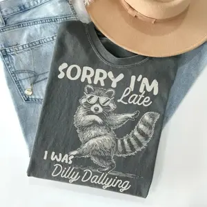 Funny Raccoon Sorry I'm Late I Was Dilly Dallying T-Shirt, Sarcastic Humor Tee, Cute Trash Panda Graphic Shirt, Trendy Meme Gift