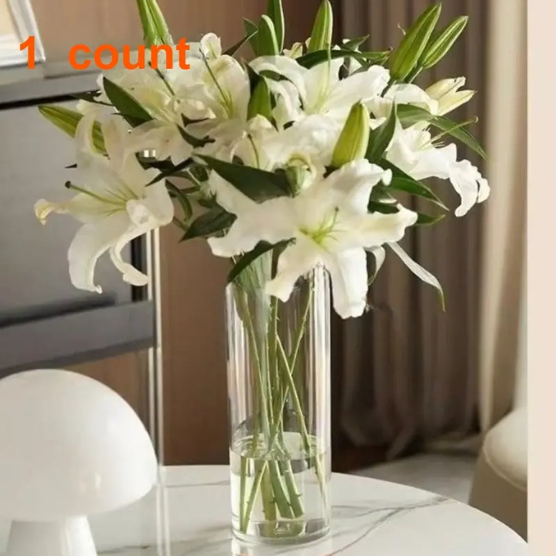 Cylindrical vase, transparent vase, hydroponic plant cup，1  count
