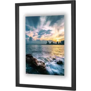 16x20 Inch Floating Frame, Black Wood Double Glass Float Picture Frame Display 16x20/11x14 Inch Photos or Plant or Petal Specimens for Wall Hanging - Mounting Accessories Included