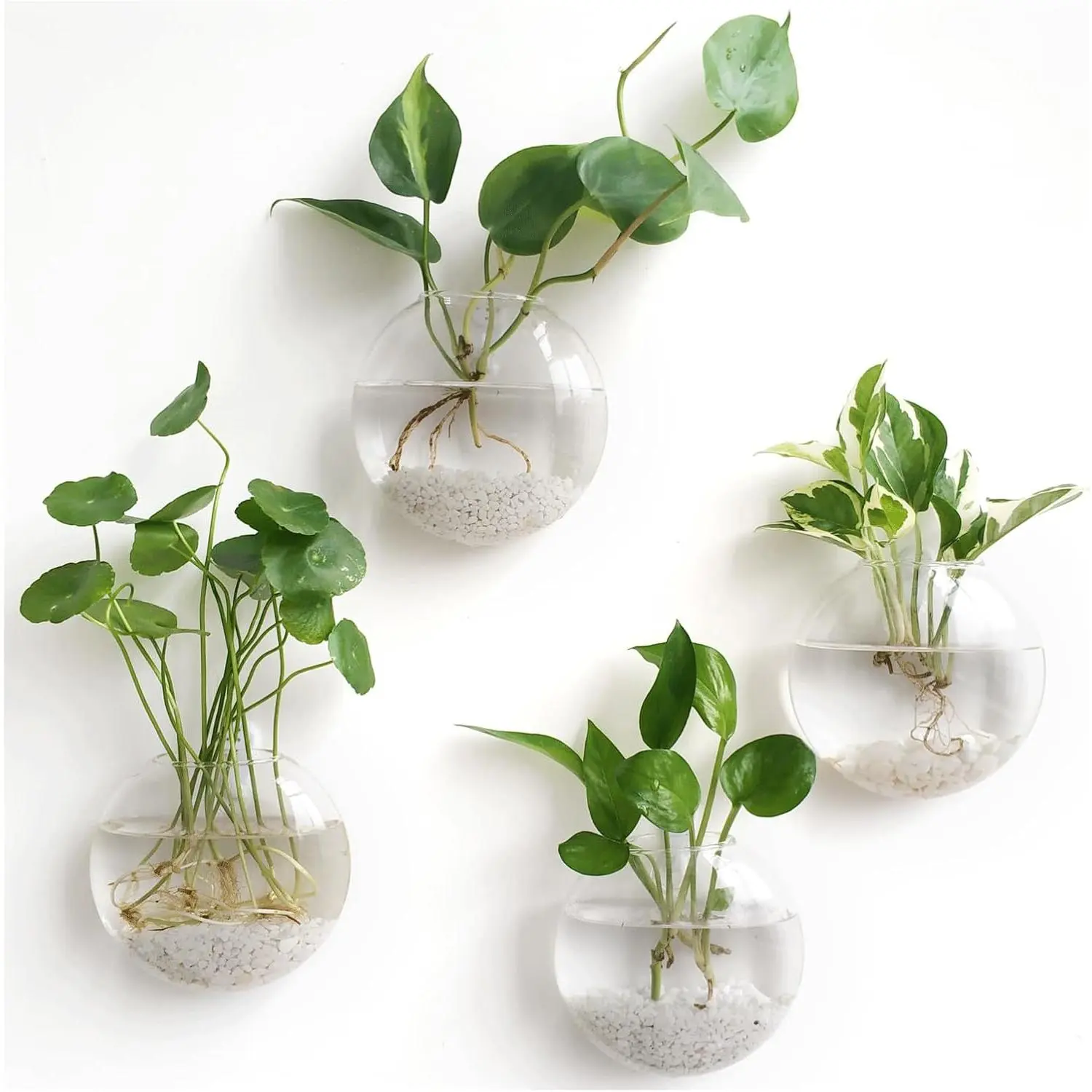 Wall  Planter Propagation Station Glass Flower Vase for Hydroponics , Bathroom,  Office Living Room Decor , Oblate Set of 4( not Included)