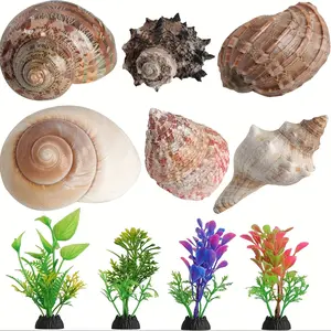 6 Pcs Hermit Crab Shells Medium Growth Turbo Seashells, Pet Supplies Conch Habitat Decor, 4 Artificial Plants, Aquarium Supplies