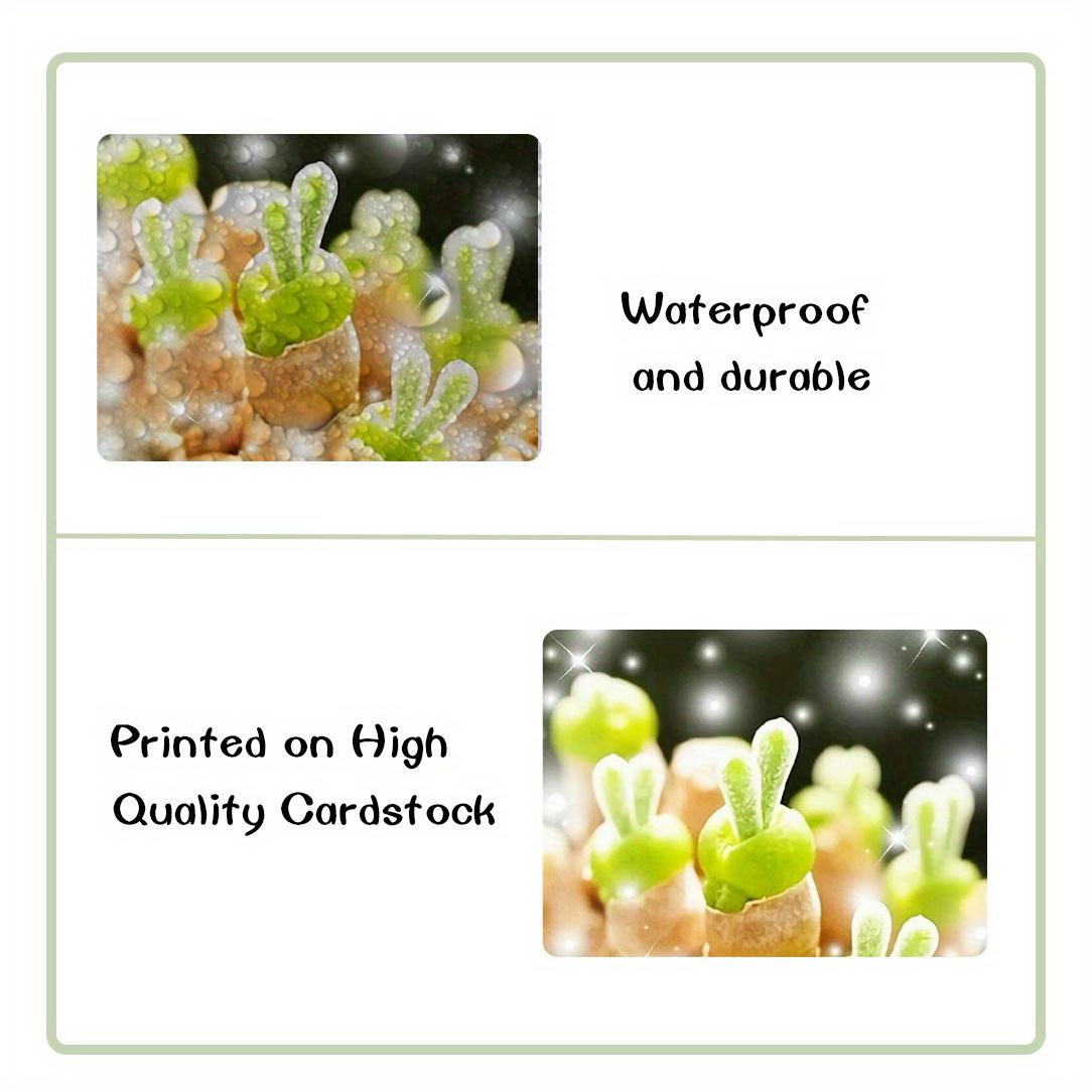 9pcs Frameless Math Geometry Posters Educational Angles Triangles Trigonometry Circle Math Classroom Decor for Middle School and High School Classroom Decorations or Homeschool Supplies 8*10inches