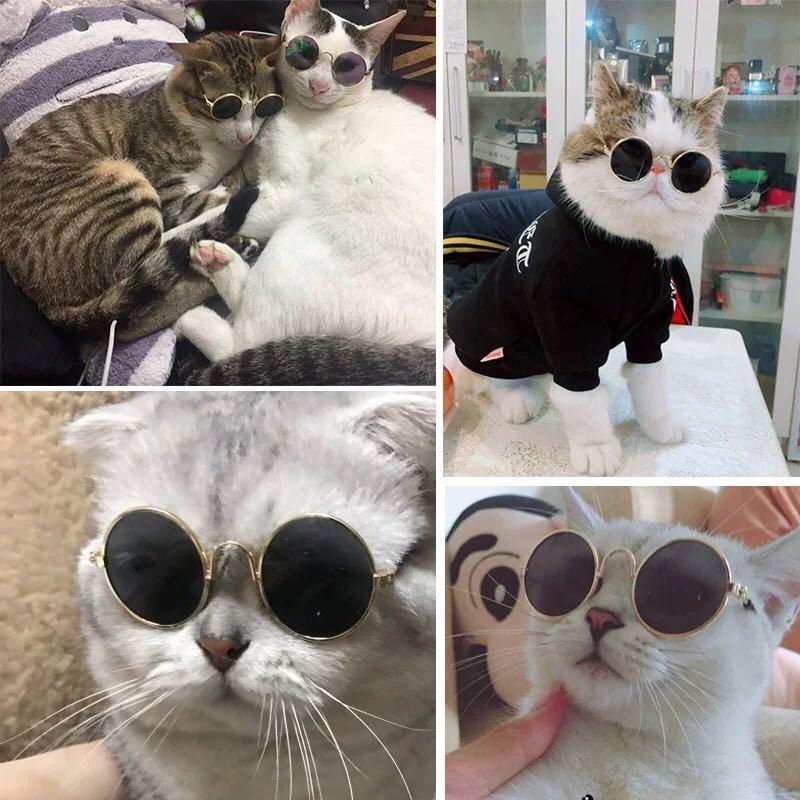 Dog Cat Pet Sunglasses Creative Trendy Sunwear Cute Accessories Mini Eyewear for Small Animals Adjustable Fit Summer Outdoor Play