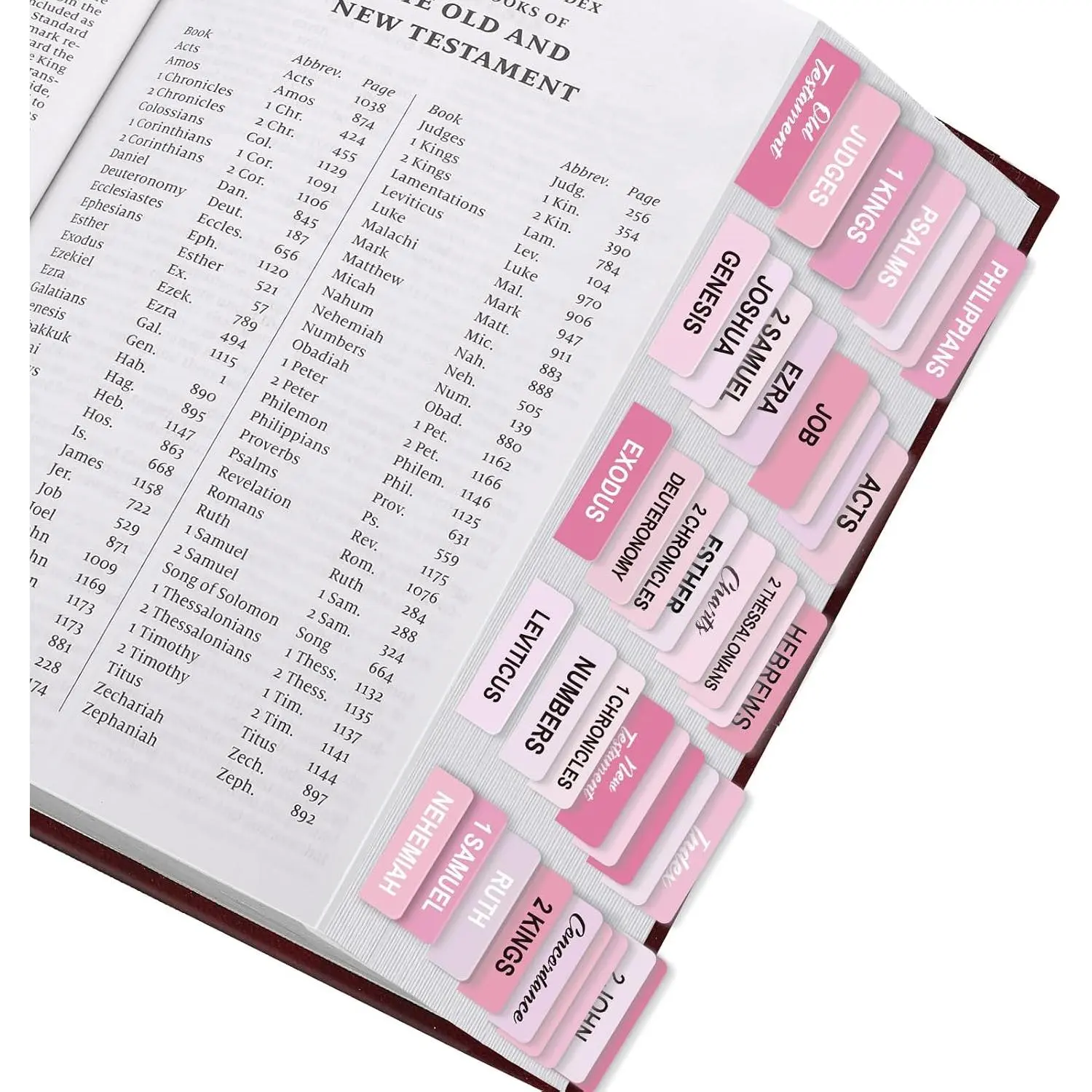 Laminated Study Tabs - 100 Pcs, Office Index Dividers for Organization, Bible Books Index Guide with Large Font (for Women, Men)