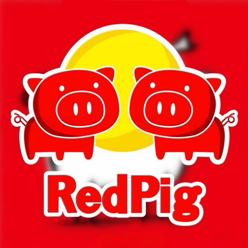 Red Pig Funny Car Sticker  Waterproof Decal for Electric Motorcycle Bike Helmet DIY Decor