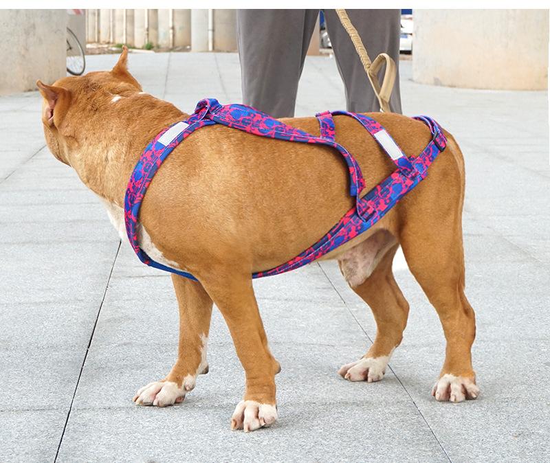 No-Pull Dog Skijoring Harness, Heavy Duty Reflective Dog Weight Pulling Harness for Canicross, Bikejoring, Skiing, Training, Walking, Adjustable Padded Dog Sled Harness for Medium Large Dogs