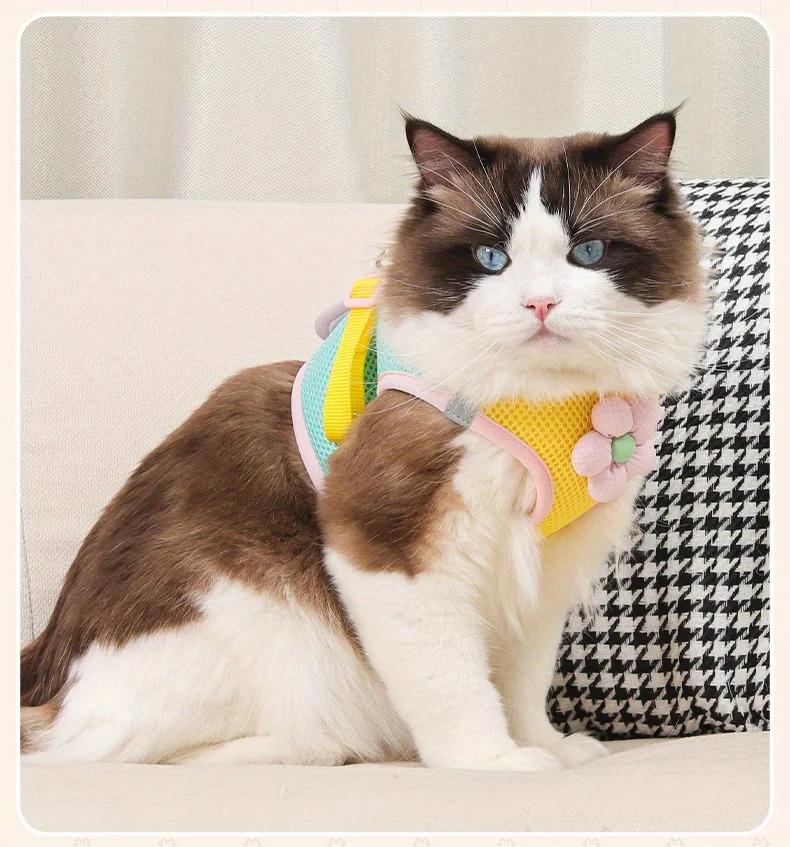 Cat Dog Harness and Leash Breathable Mesh Pet Chest Straps for Cats Puppy Walking Lead Ragdoll Chihuahua Vest Harness Bulldog Cat Dog Harness and Leash Breathable Mesh Pet Chest Straps for Cats Puppy Walking Lead Ragdoll Chihuahua Vest Harness Bulldog