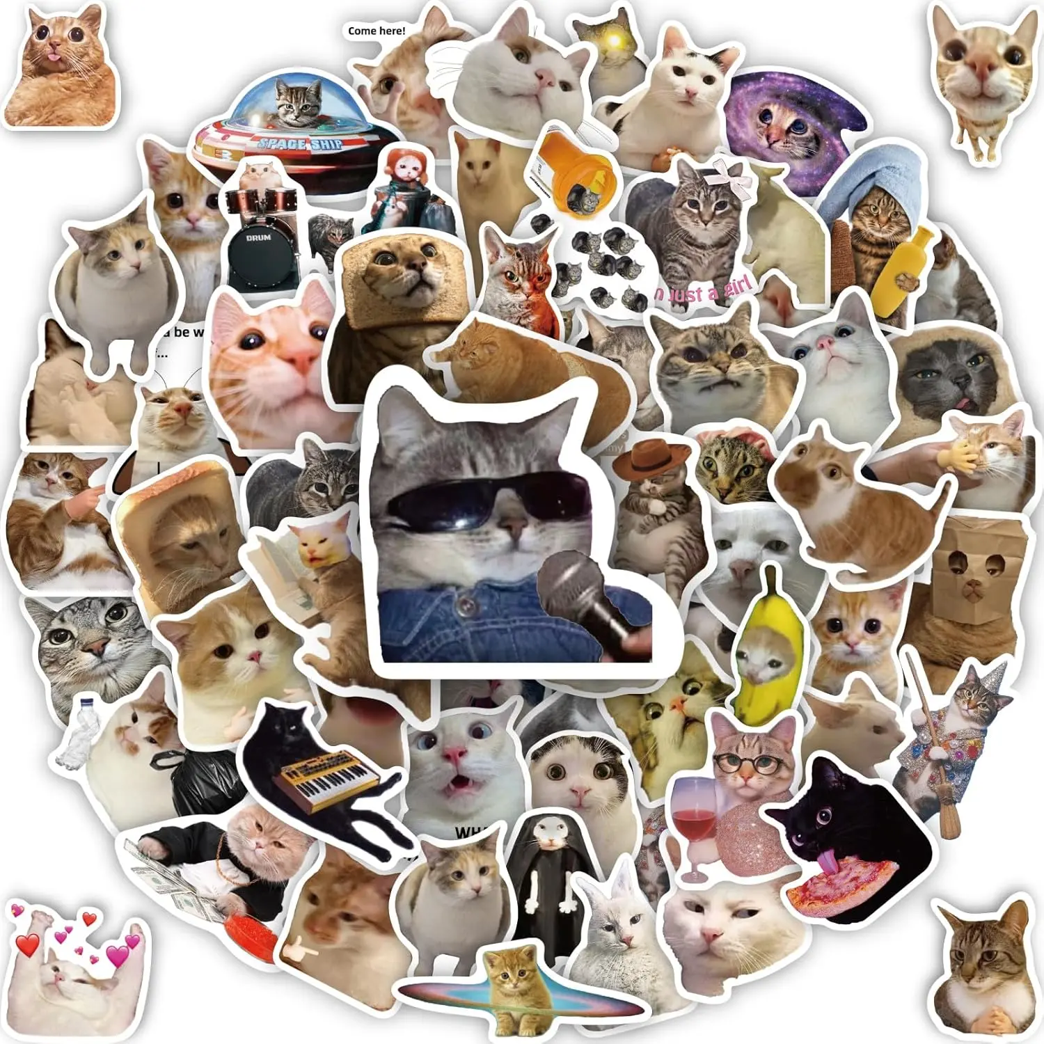 50 Pcs Cat Stickers, Funny Cat Meme Stickers, Cute Kitten Decals for Laptop Water Bottles Phone Guitar Luggage, Waterproof Vinyl Decals for Adults Kids Teens Boys Girls
