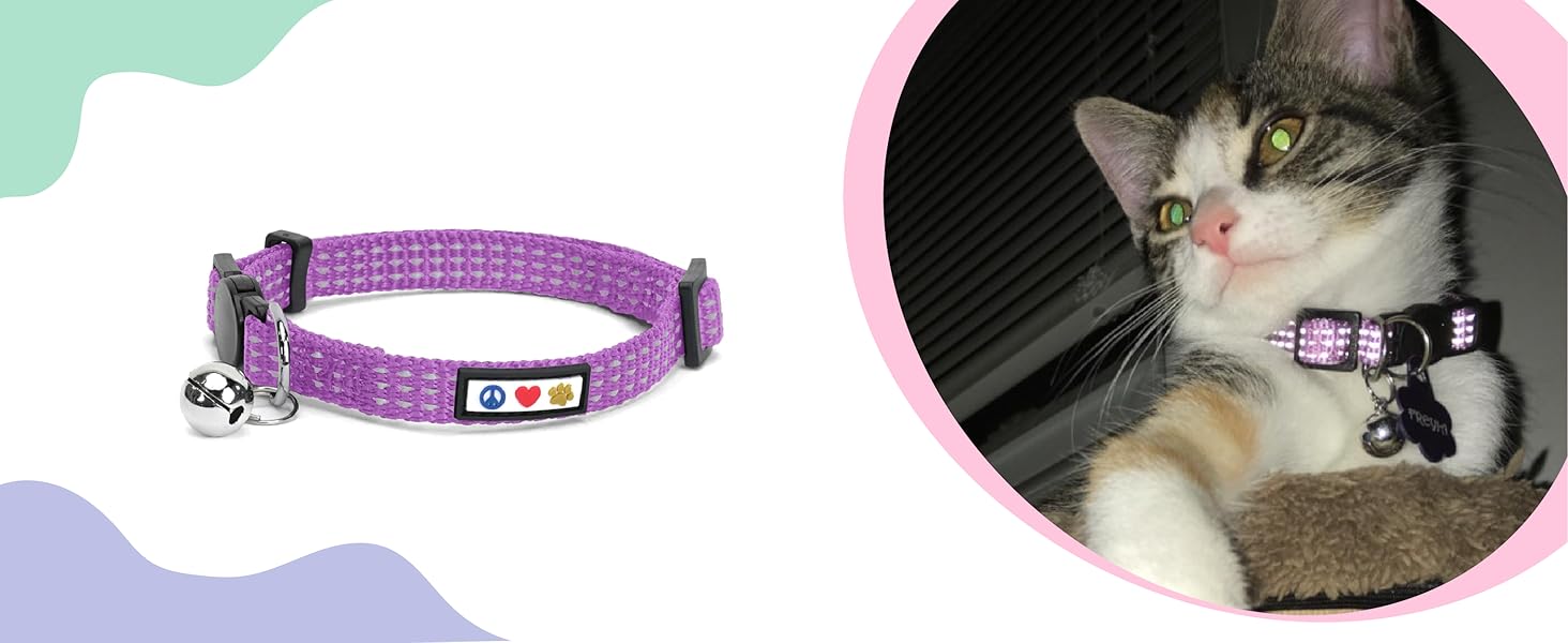 Pawtitas Reflective Cat Collar with Safety Buckle and Removable Bell Cat Collar Kitten Collar Purple Orchid Cat Collar