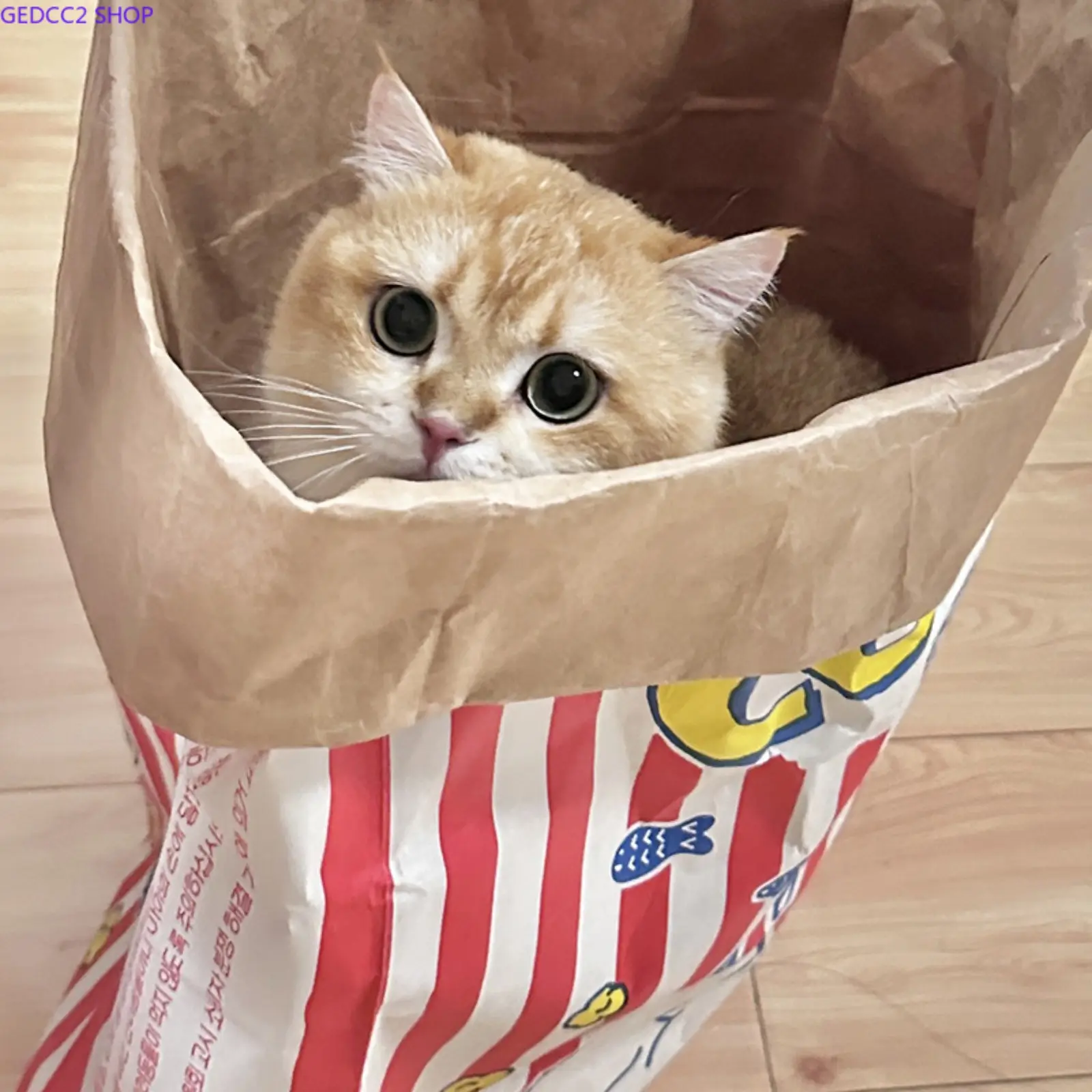 Cat Hide and Seek Toy, Durable Paper Cat Tunnel with Scratching Pad, Interactive Cat Toy for Indoor Cats, Fun Scratch & Play Activity
