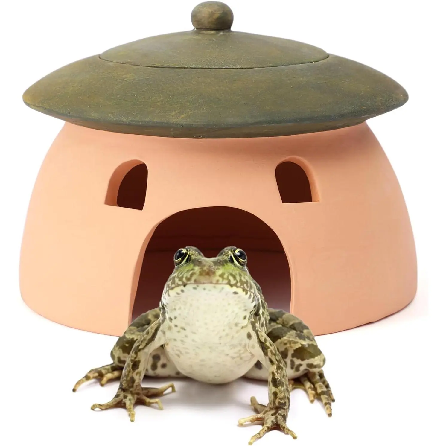 8 x 6Inch Toad House for Outside Garden Red Pottery Ceramics Small Reptile Hides and Caves for Snake Toad Frog Turtle Green with Lid