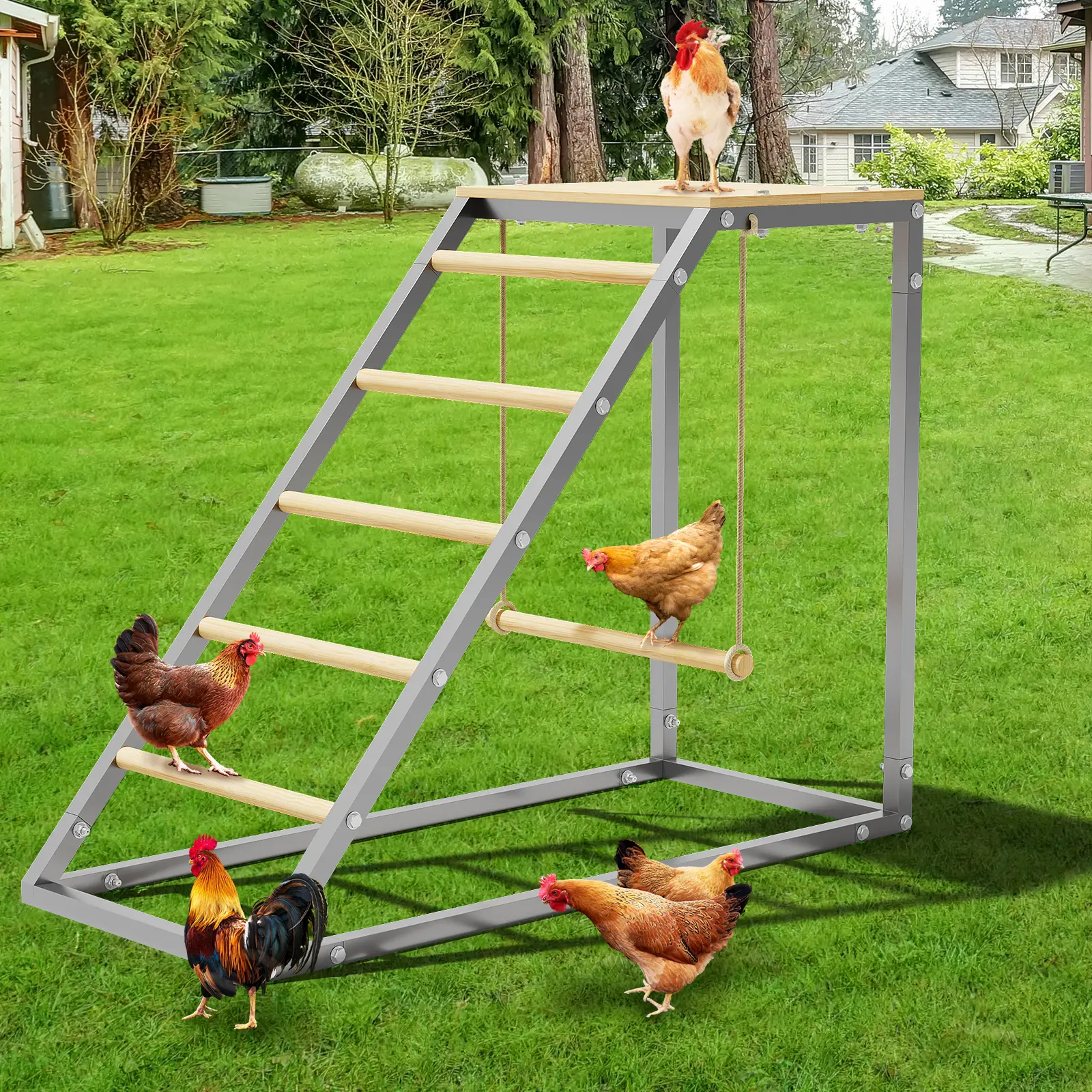 Chicken Perch for Coop, Metal Frame Chicken Roosting Bars with Swing, Ladder & Food Box, Chickens Enrichment Toys to Exercise Makes the Meat Firmer for Yard Farm, 37.6" L x 15.7" W x 27.5" H
