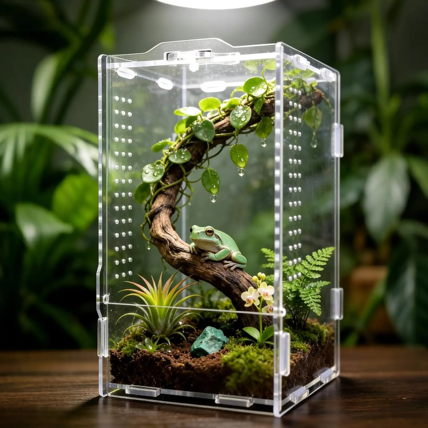 Acrylic Jumping Spider Enclosure Insect Terrarium Bug Cage for Tarantula, Snail, Praying Mantis, Frog and Other Small Reptiles (4.7" x 4.3" x 7.8")