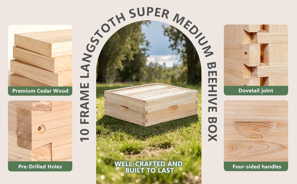 10 Frame Medium Beehive Box,Langstoth Honey Bee Hive Box, Include Beehive Frames and Waxed Foundations