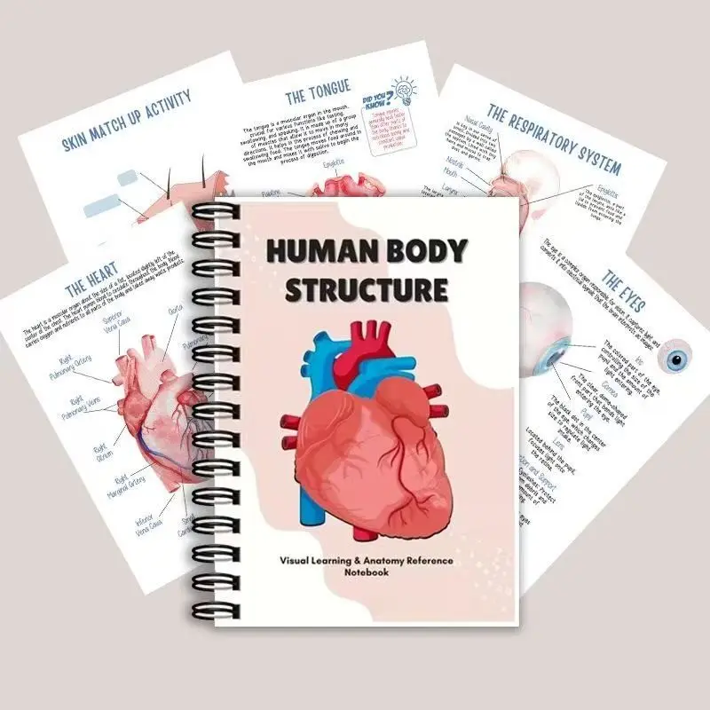 Human Anatomy Reference Notebook, Visual Learning Guide for Biology Beginners, Home Education, Medical Professionals, Natural Science Tool