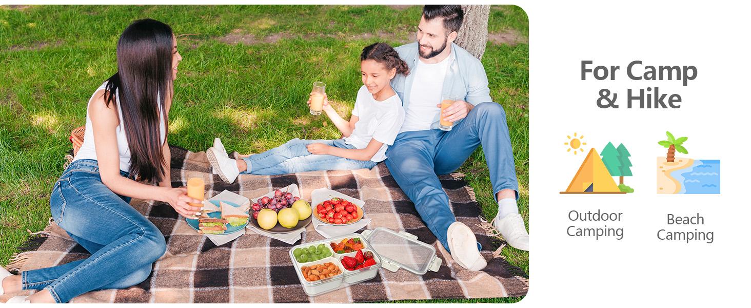 Small Snackle Box Container, Divided Serving Tray with Lid, 4 Compartment Snack Box Container for Candy, Fruits, Charcuterie, Travel & Parties, BPA-Free, 2 Pack Small Snackle Box Container, Divided Serving Tray with Lid, 4 Compartment Snack Box Container for Candy, Fruits, Charcuterie, Travel & Parties, BPA-Free, 2 Pack