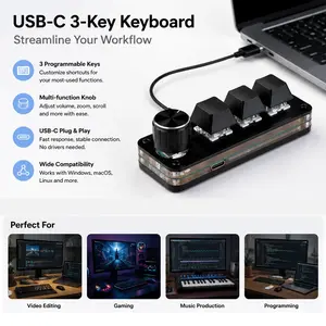 3 Key Mini Keypad USB Plug-in 2 in 1 Mechanical Gaming Macro Keyboard with RGB Led for PC Gaming OSU Office Work Copy Paste