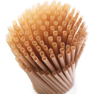 Biodegradable sugarcane straws, pack of 200, 8inch Compostable disposable drinking straws, plastic-free, durable and sturdy, suitable for home, restaurants, and parties, non-fogging