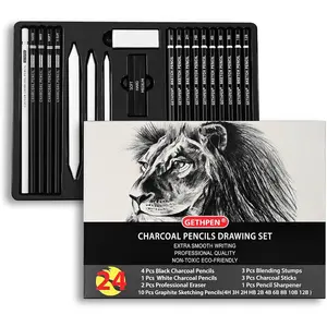 Pro 24PCS Artist Drawing & Sketch Pencil Kit, Graphite Pencils (12B-4H), Charcoal Pencils, Sticks, Stumps, Eraser, Sharpeners for Art Sketching