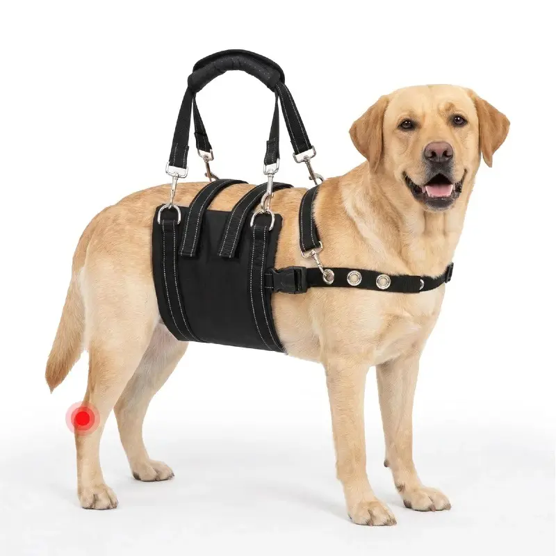 Dog Mobility Cloth Harness - Functional Walking & Traction Harnesses for Elderly, Injured Dogs, Outdoor Chest & Back Support for Post-Surgery Recovery