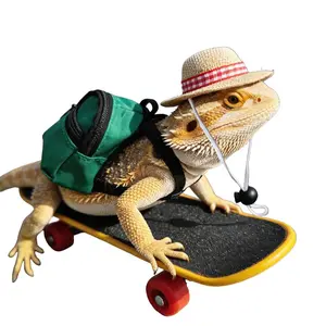 Lizard Mini Backpack Hat Skateboard Set, Cute Pet Accessory, Three-Piece Decorative Prop, Ideal for Reptile Lovers, Fun and Stylish